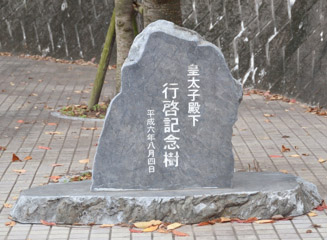 f:id:adoi:20181231131105j:plain