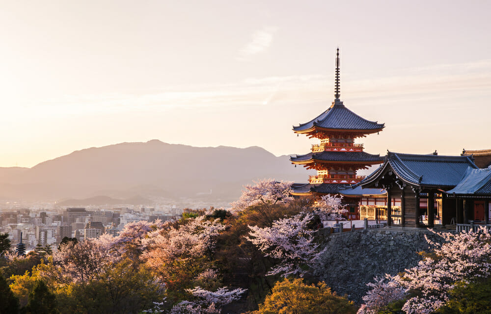 f:id:adoi:20190724233032j:plain