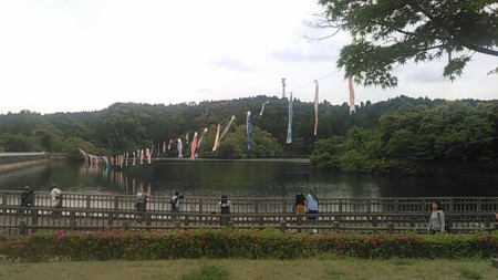 f:id:adomcg:20150429132158j:image f:id:adomcg:20150429132158j:image
