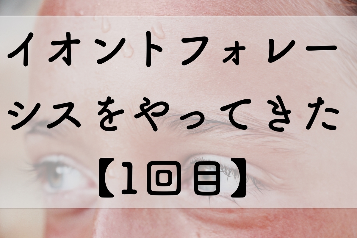 f:id:adonosuke:20200220220023j:plain