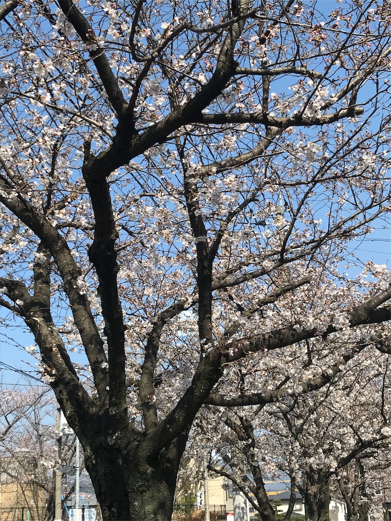 f:id:adrband:20180326182357j:plain f:id:adrband:20180326182357j:plain