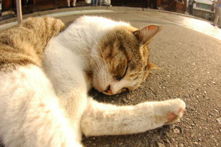f:id:adrenalize:20110828215710j:image