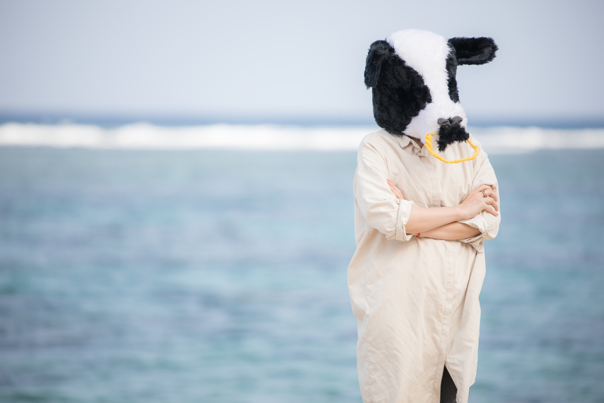 f:id:adsense1102:20191217000936j:plain