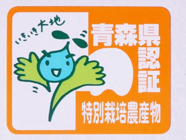 f:id:adsshy-surf:20240710190229j:image