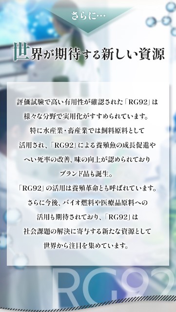 f:id:adsshy-surf:20240814170235j:image