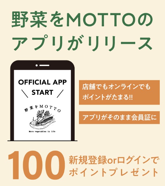 f:id:adsshy-surf:20240901182156j:image