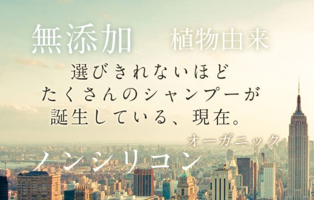 f:id:adsshy-surf:20240904183042j:image