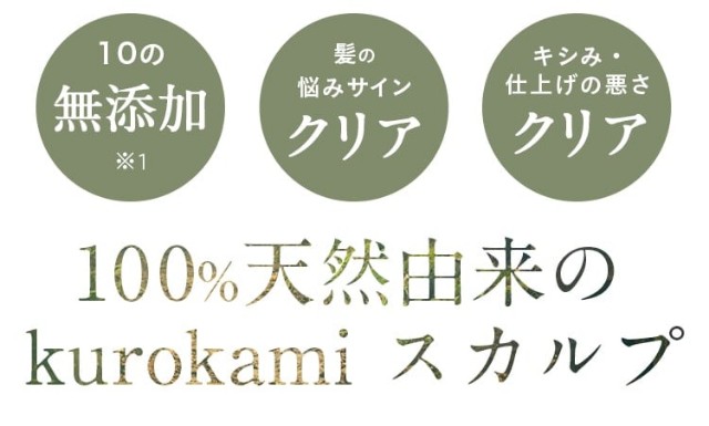 f:id:adsshy-surf:20240904183142j:image