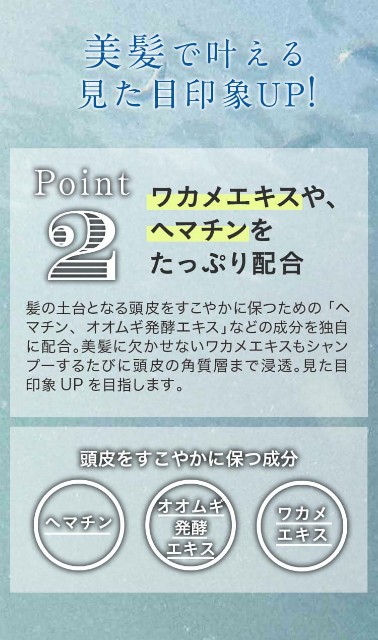 f:id:adsshy-surf:20240904183215j:image