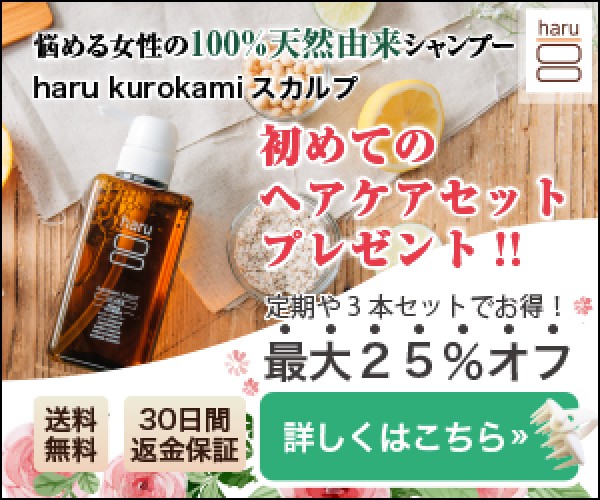 f:id:adsshy-surf:20240904183908j:image