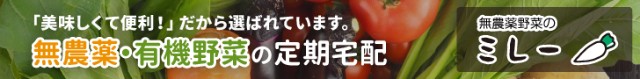f:id:adsshy-surf:20240909184847j:image f:id:adsshy-surf:20240909184847j:image