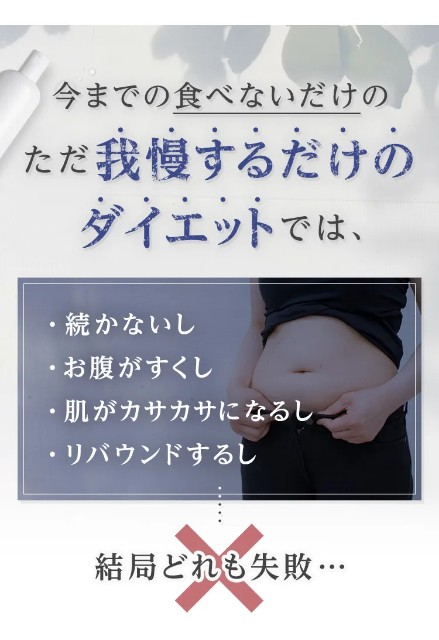 f:id:adsshy-surf:20241212184100j:image