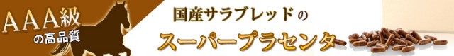 f:id:adsshy-surf:20241224180617j:image f:id:adsshy-surf:20241224180617j:image