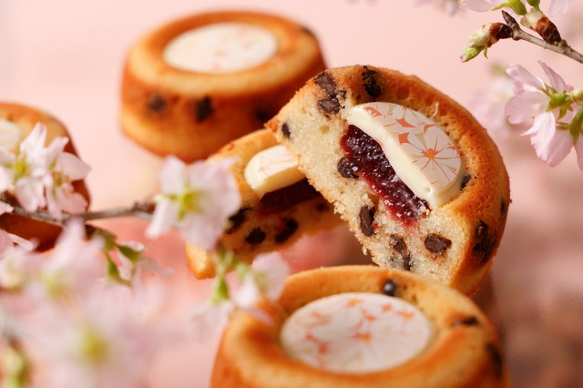 f:id:adsshy-surf:20250310070524j:image