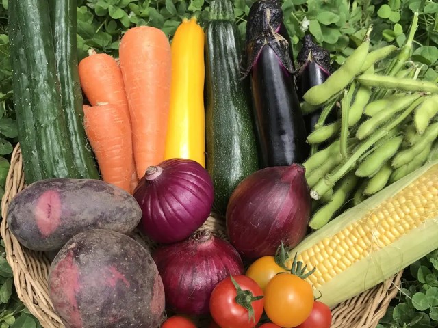 f:id:adsshy-surf:20250412101136j:image f:id:adsshy-surf:20250412101136j:image