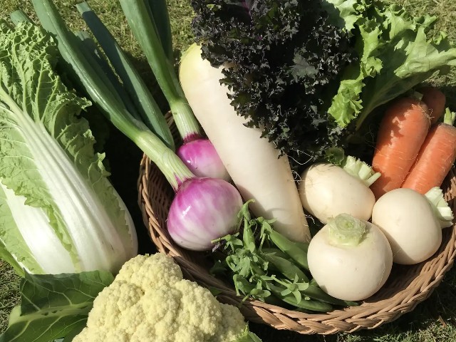 f:id:adsshy-surf:20250412101148j:image f:id:adsshy-surf:20250412101148j:image