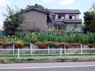f:id:adumacho:20100901102800j:image