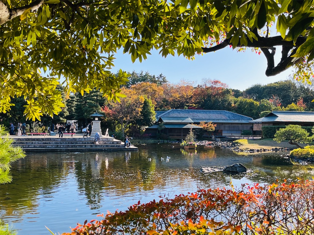 f:id:advantage-for-2025:20251121131707j:image