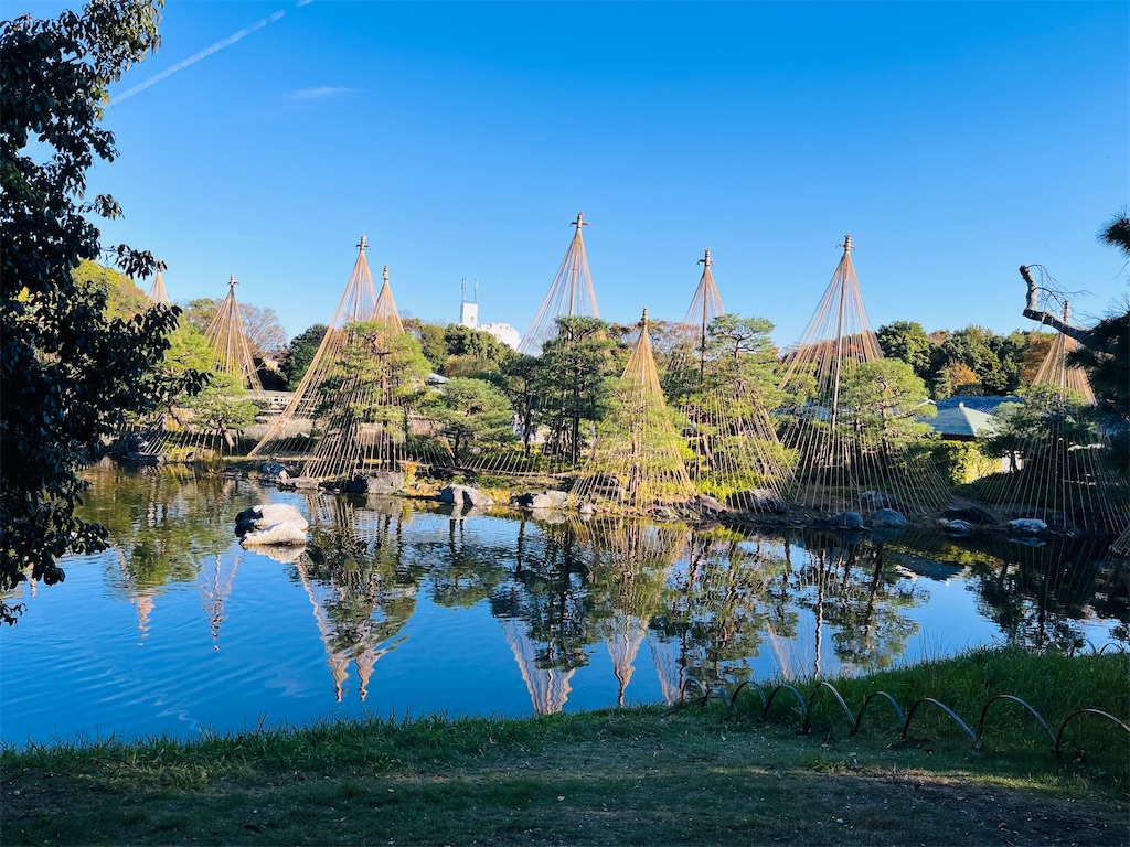 f:id:advantage-for-2025:20251121165628j:image