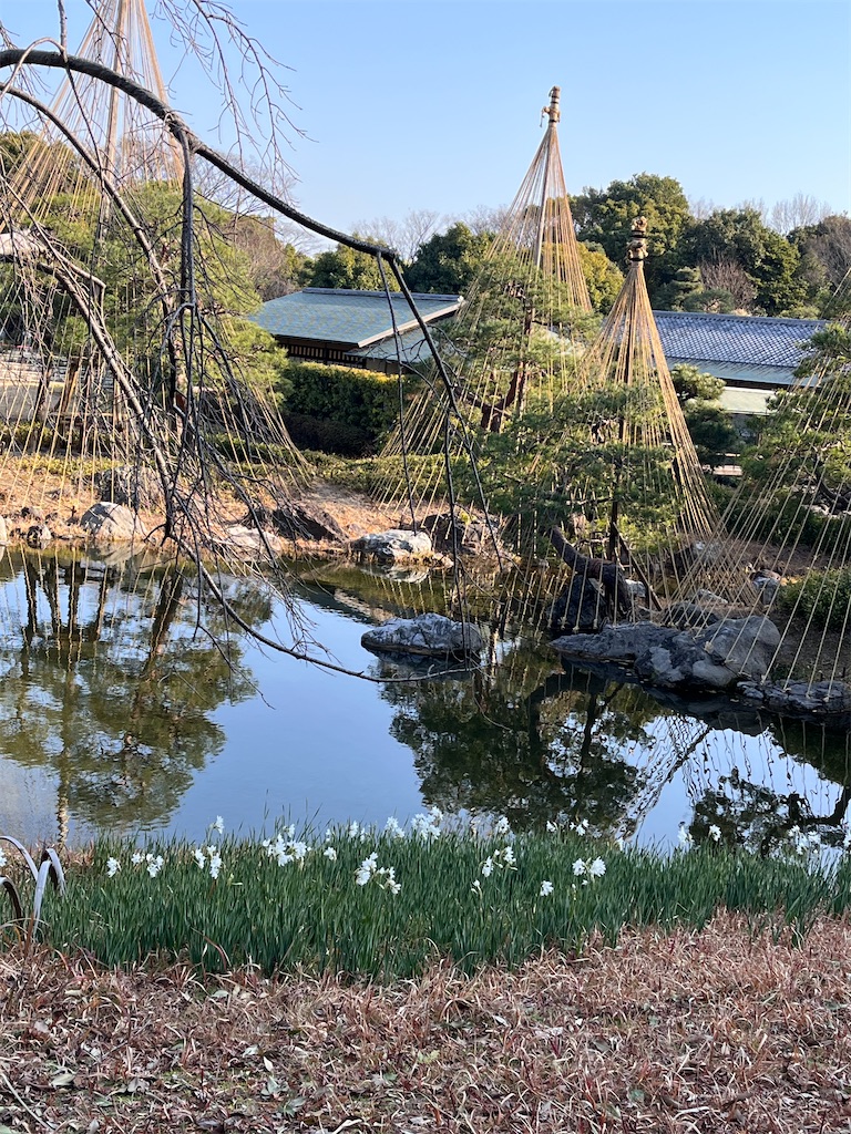 f:id:advantage-for-2025:20260118123120j:image