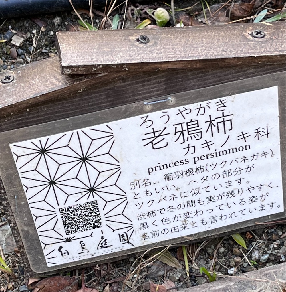 f:id:advantage-for-2025:20260118123245j:image