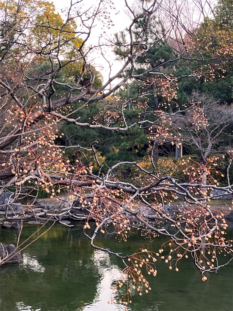 f:id:advantage-for-2025:20260118124427j:image