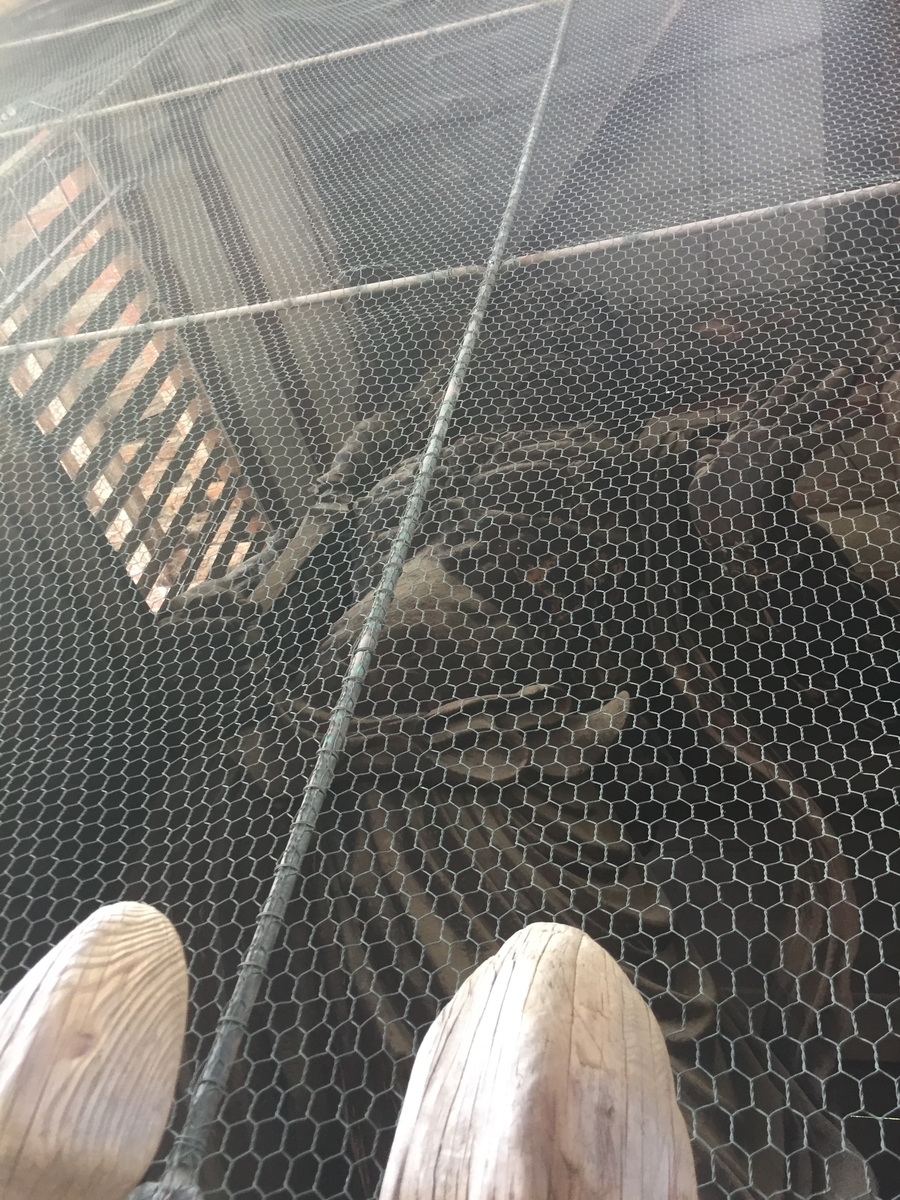 f:id:advynet:20190917134718j:plain f:id:advynet:20190917134718j:plain