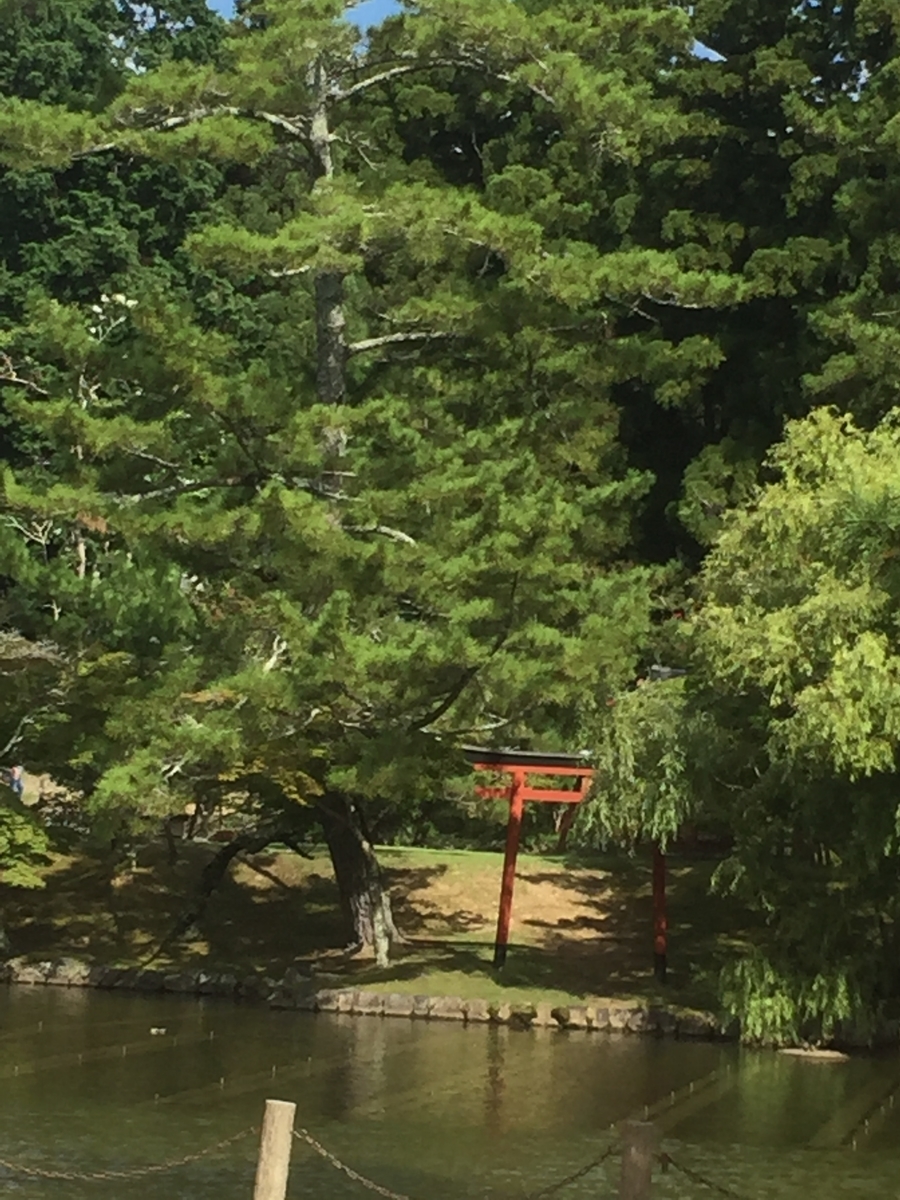 f:id:advynet:20190917134808j:plain f:id:advynet:20190917134808j:plain