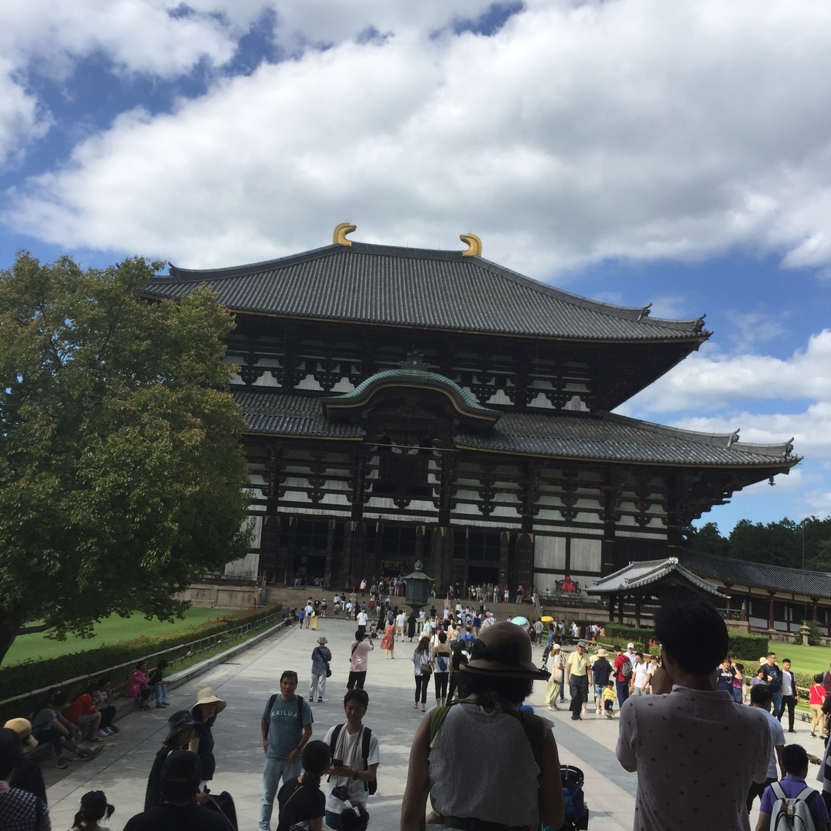 f:id:advynet:20190917134835j:plain f:id:advynet:20190917134835j:plain