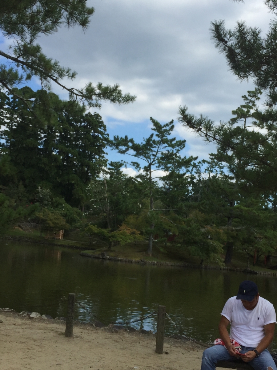 f:id:advynet:20190917135319j:plain f:id:advynet:20190917135319j:plain