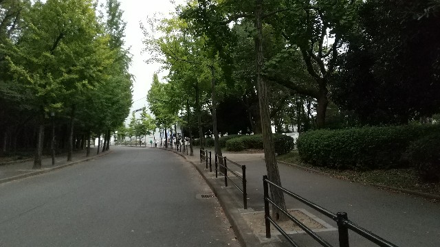 f:id:advynet:20221006155556j:image