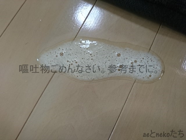 f:id:ae05280607:20190406153152j:plain f:id:ae05280607:20190406153152j:plain