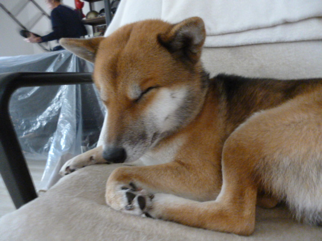 f:id:ae86okinawa:20200213142057j:plain