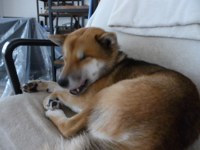 f:id:ae86okinawa:20200213142112j:plain