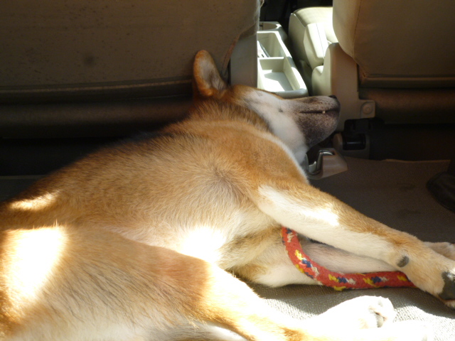 f:id:ae86okinawa:20200213142405j:plain