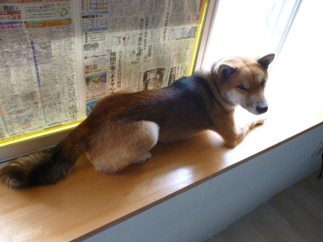 f:id:ae86okinawa:20200213145710j:plain