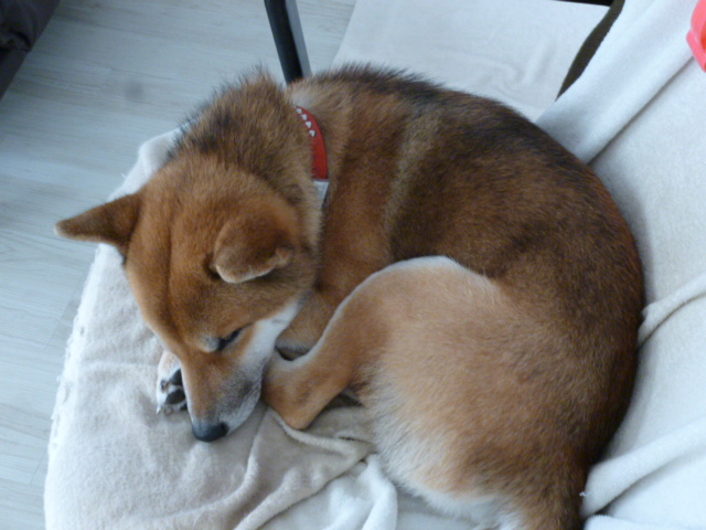 f:id:ae86okinawa:20200222172910j:plain