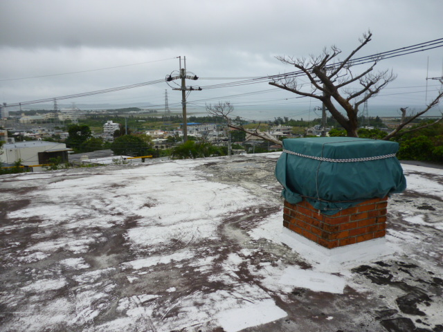 f:id:ae86okinawa:20200309140856j:plain