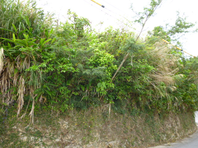f:id:ae86okinawa:20200309142807j:plain