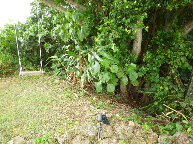 f:id:ae86okinawa:20200705102204j:plain