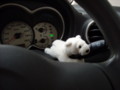 20090602212610