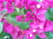 20110708183008