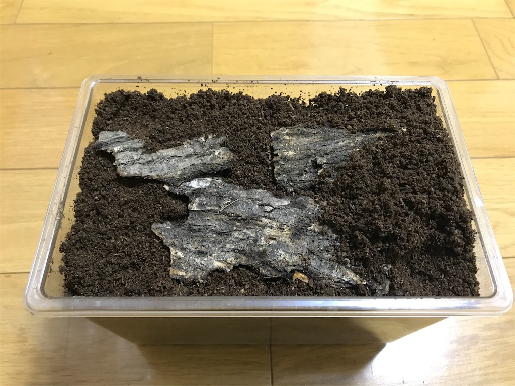 f:id:aegus:20200310184537j:image