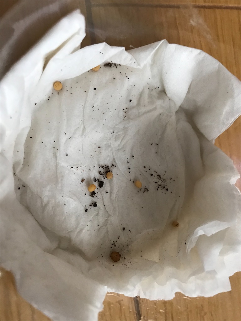 f:id:aegus:20200503213703j:image