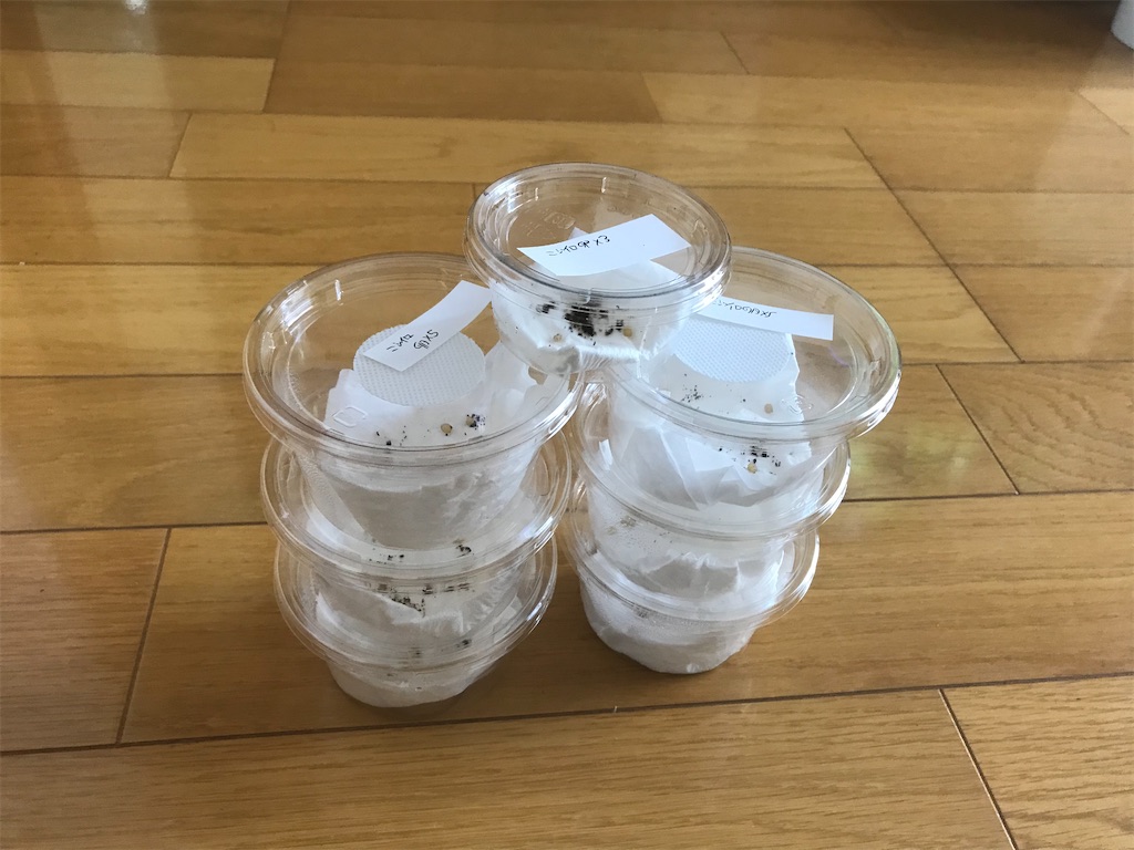 f:id:aegus:20200508180417j:image