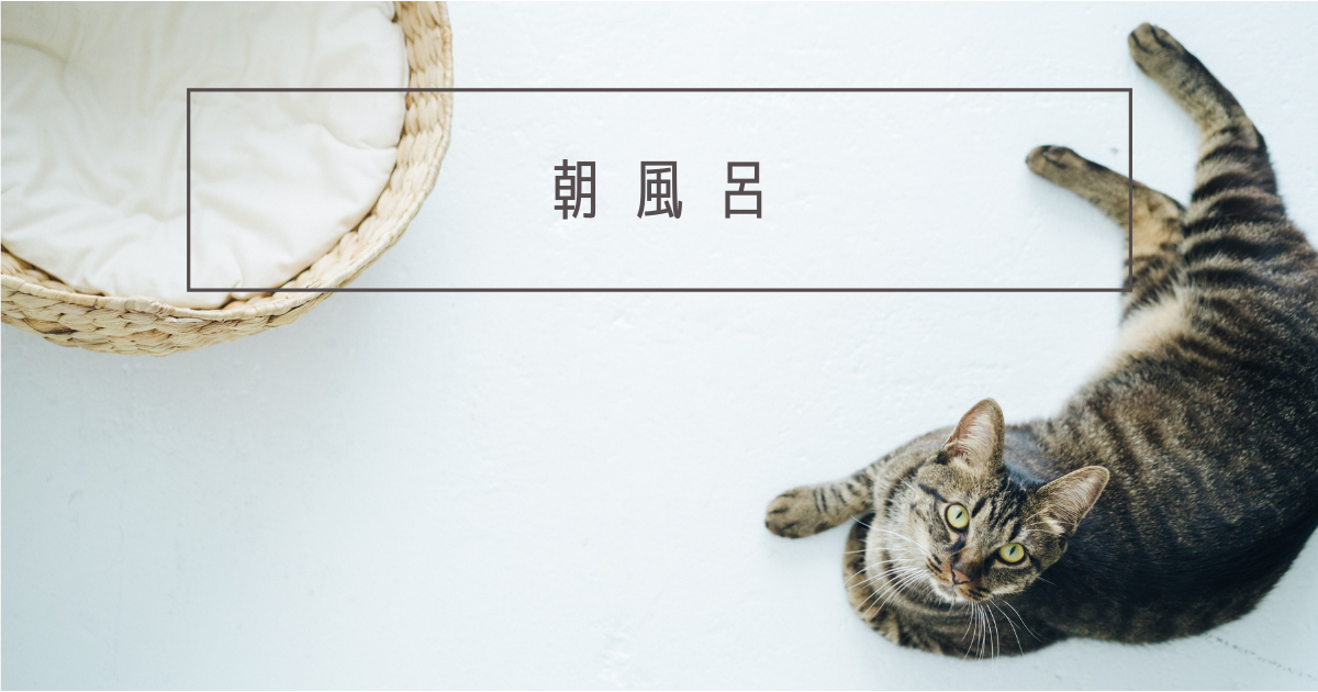 f:id:aereal:20210216161037p:image