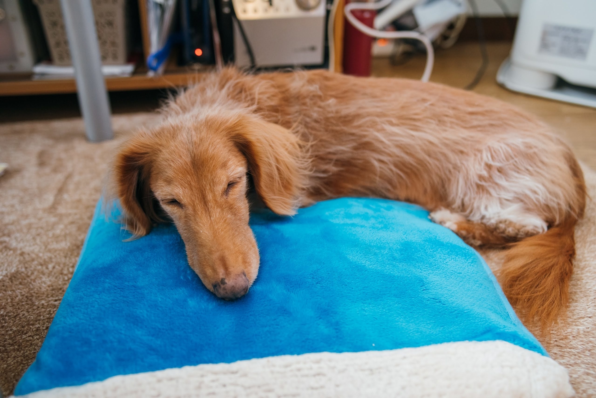 f:id:aereal:20210817192101j:plain