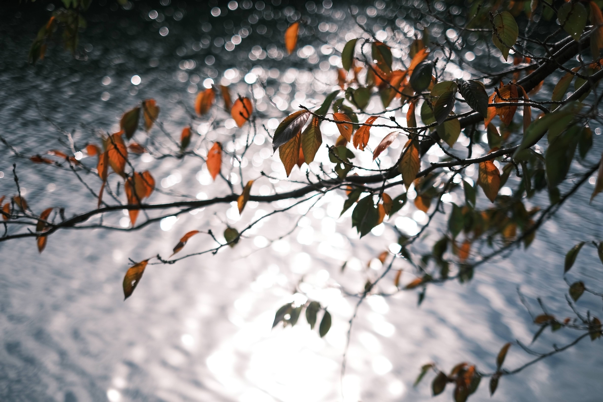 f:id:aereal:20211104212306j:plain