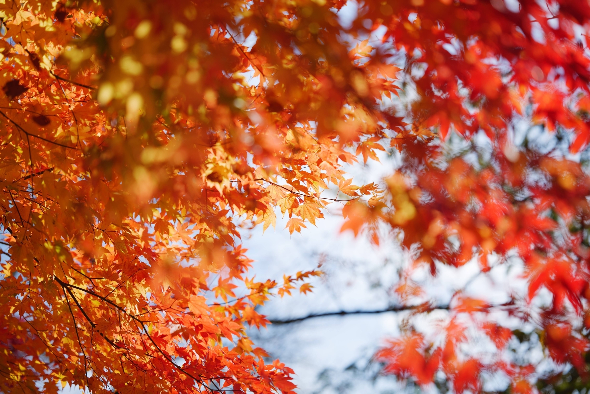 f:id:aereal:20211128205316j:plain