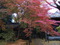 蓮華寺